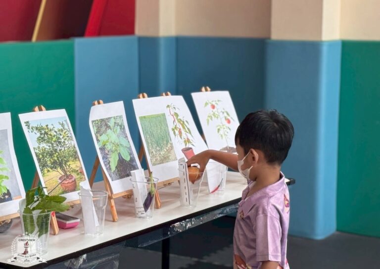 A preschool child reaching toward vegetables and plants in cups on a table, in front of photos of the growing plants, during Synergy Day
